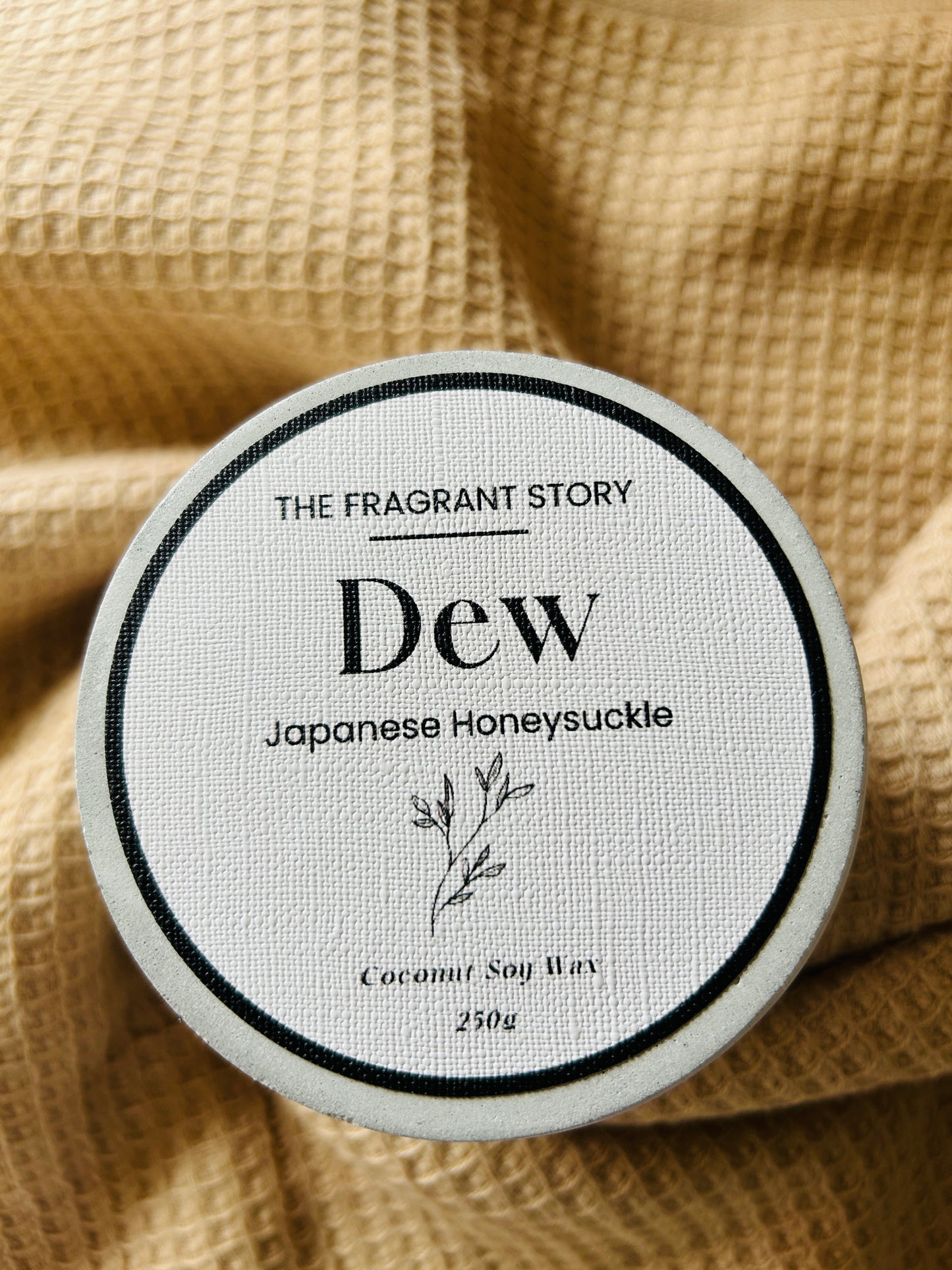 Dew : Japanese Honeysuckle - Concrete Candle Ritual