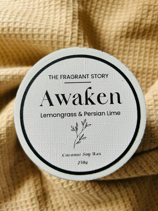 Awaken: Lemongrass & Lime: Concrete Candle Ritual